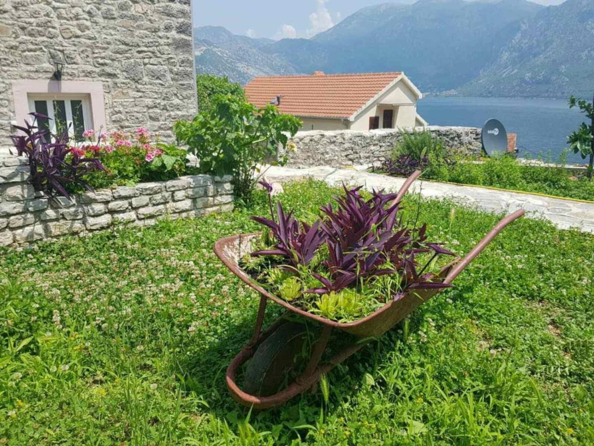 Guest House Maza Kotor Exteriör bild