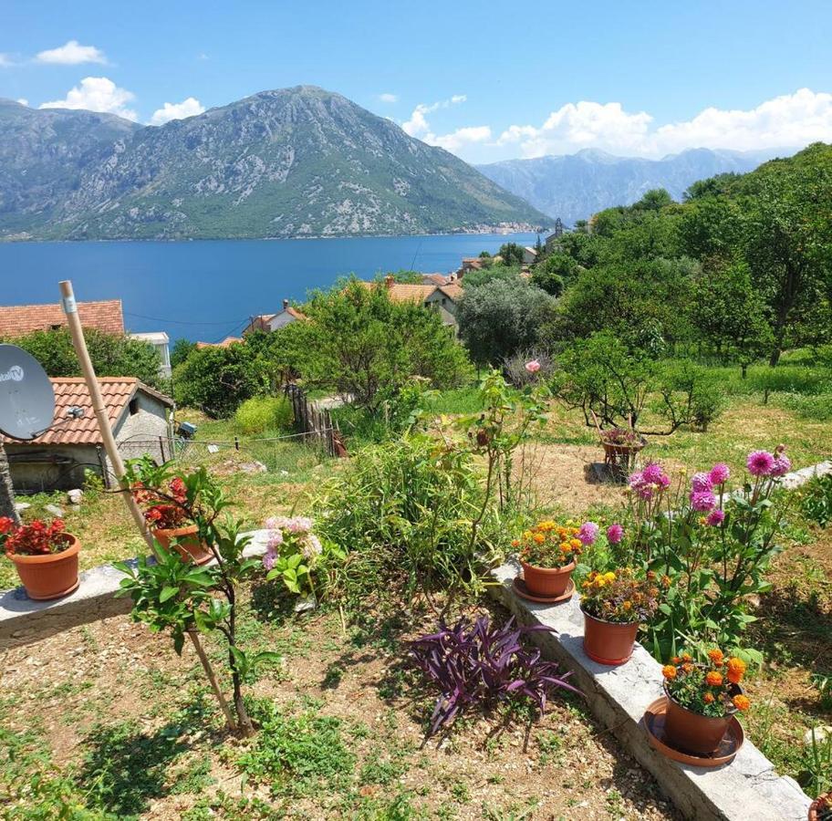Guest House Maza Kotor Exteriör bild