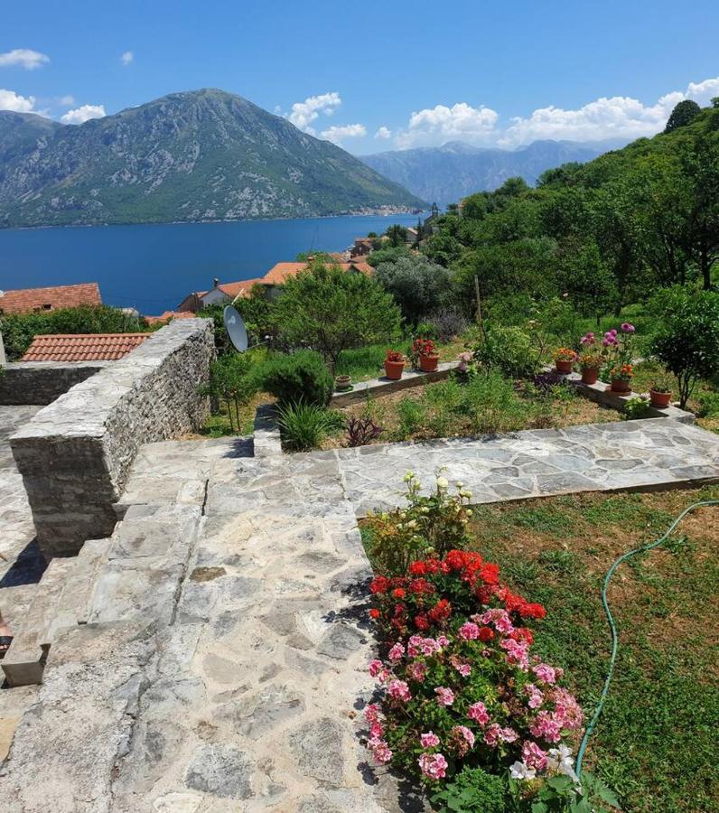 Guest House Maza Kotor Exteriör bild