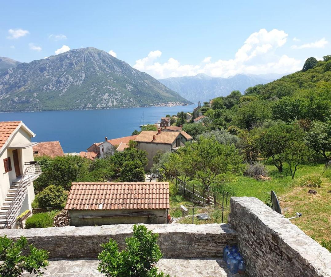 Guest House Maza Kotor Exteriör bild