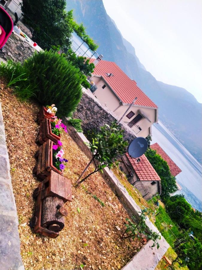 Guest House Maza Kotor Exteriör bild